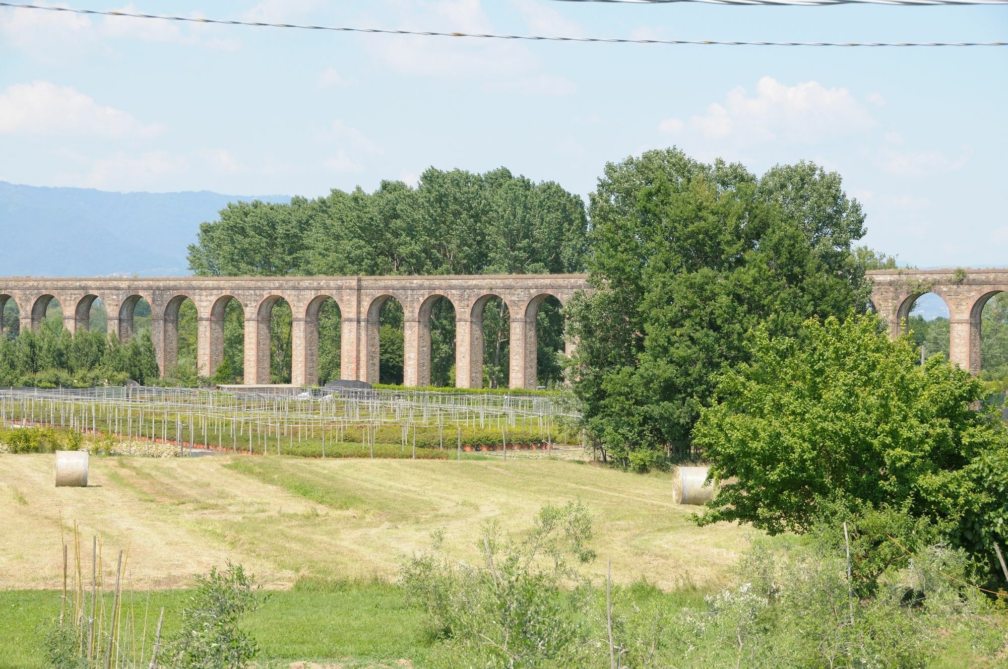 Appartamenti Vacanze Il Nottolini Capannori Zewnętrze zdjęcie